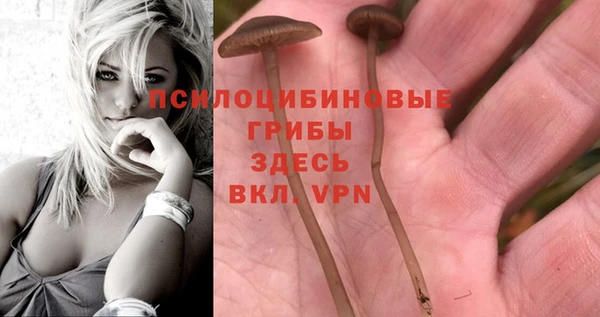 альфа пвп Беломорск