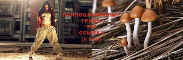 кристаллы Белокуриха